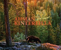 Ahman kintereillä