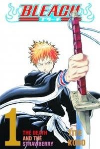 Bleach 1