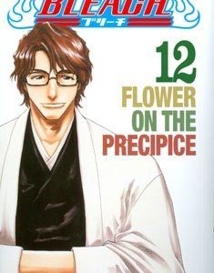 Bleach 12