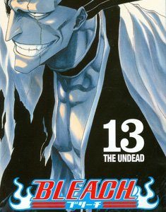 Bleach 13