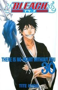 Bleach 30