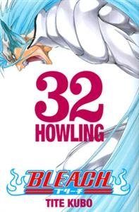 Bleach 32