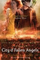 City of Fallen Angels