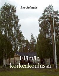 El M N Korkeakoulussa