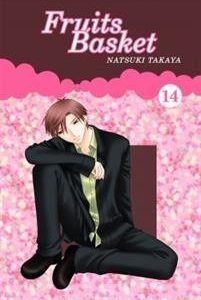 Fruits Basket 14