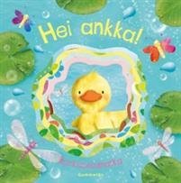 Hei ankka!