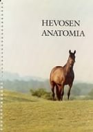 Hevosen anatomia