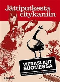 Jättiputkesta citykaniin