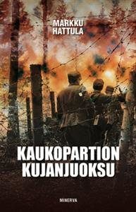 Kaukopartion kujanjuoksu