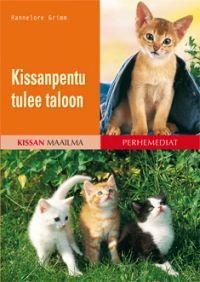 Kissanpentu tulee taloon