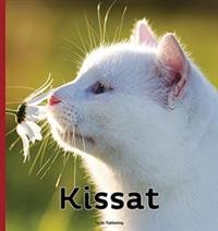 Kissat