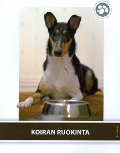 Koiran ruokinta