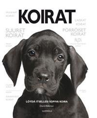 Koirat