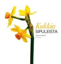 Kukkia sipuleista