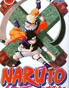 Naruto 17