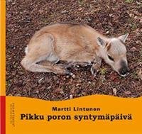 Pikku poron syntymäpäivä