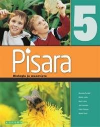 Pisara 5