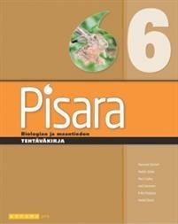 Pisara 6