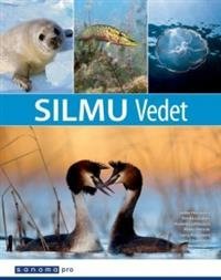 Silmu