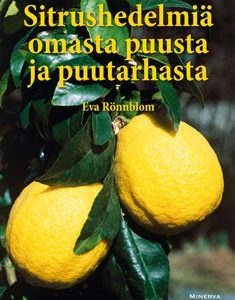 Sitrushedelmiä omasta puusta ja puutarhasta