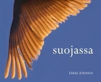 Suojassa