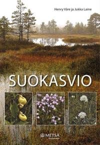 Suokasvio