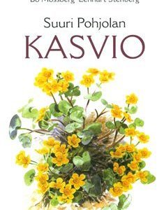 Suuri Pohjolan kasvio