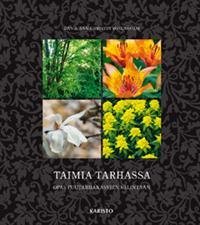 Taimia tarhassa