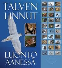 Talven linnut