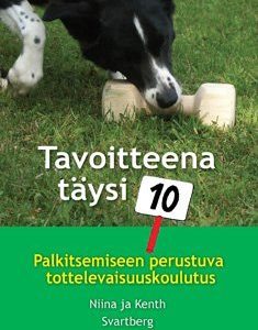 Tavoitteena täysi kymppi