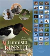 Tunnista linnut