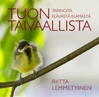 Tuon taivaallista