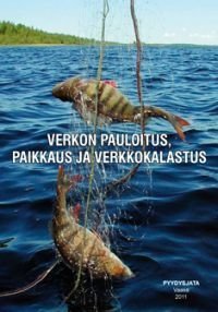 Verkon pauloitus